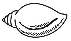 Символ партии «Биджу джаната дал»