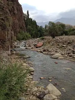 Иерташ в июле, близ посёлка Ирташ