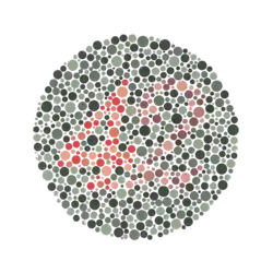 Ishihara Plate No. 23 (42)