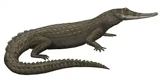 Реконструкция Isisfordia duncani