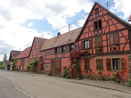 Центральная улица