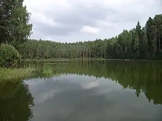 Озеро Песуярв в озёрной системе Йыуга