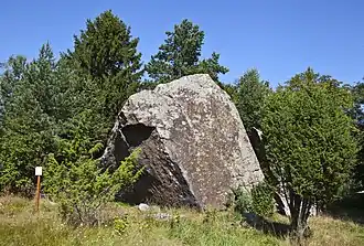 Валун Яани-Тоома в деревне Казиспеа, 2012 год
