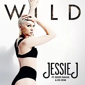 Обложка сингла Jessie J совместно с Big Sean и Диззи Раскал «Wild» ()