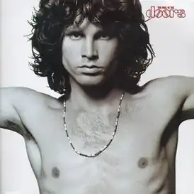 Обложка альбома The Doors «The Best of The Doors» (1985)