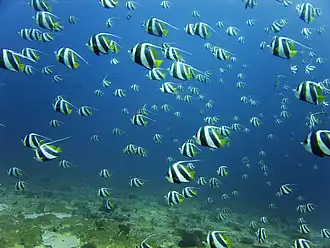 Низкая плотность