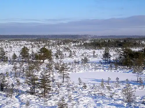 Болото Суур-Соо зимой