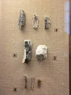 4 — резцы; 5 — долотовидные орудия; 6 — зубчатое орудие; 8 — пластинчатые сколы