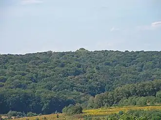 Холм Совинец, на котором виден Курган Пилсудского