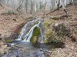 Верховья ручья