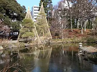 Центральный пруд