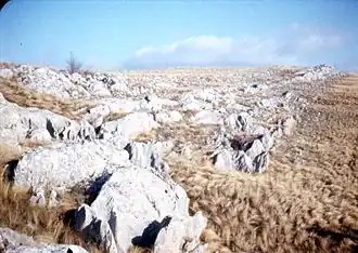 Карры на Караби-яйле