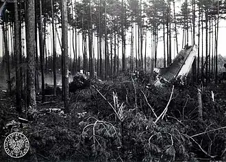 Последствия катастрофы