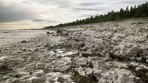 Глинт Катри