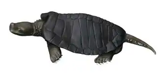 Реконструкция