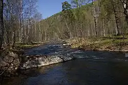 Вид на реку