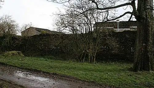 Последние остатки обнесённого стеной сада замка в 2008 году