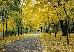 Парковая аллея