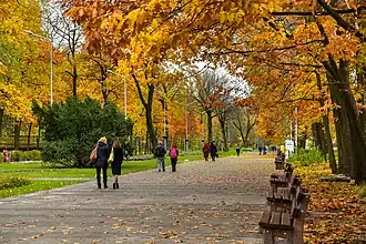 Парковая аллея