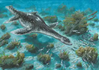 Kimmerosaurus
