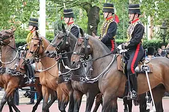 Части Королевской конной артиллерии на параде Tropping the Colour, 2012 год