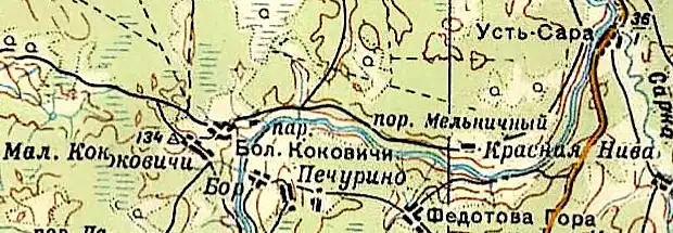 Деревня Большие Коковичи на карте РККА 1940 года