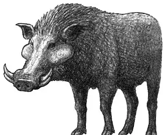 Реконструкция Kolpochoerus limnetes