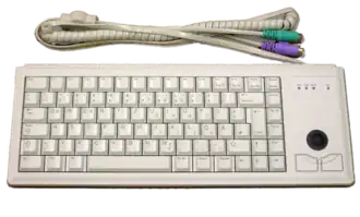 Клавиатура формата 75 % со встроенным трекболом. Видны два разъёма Mini-DIN (PS/2) разного цвета