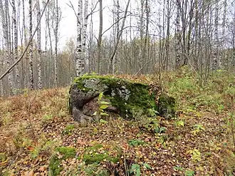 Урочище Конколово. Камень на вершине холма