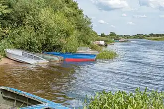 Берег реки Костромы у деревни Исады.