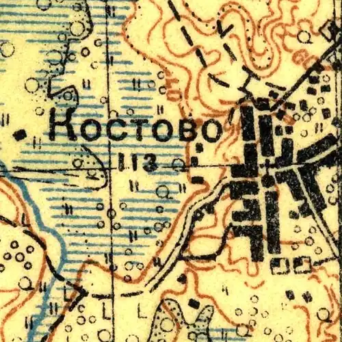 План деревни Костуя. 1931 год