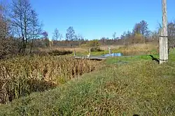 река в Красногорке