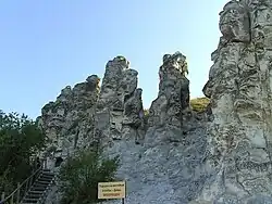 Большие Дивы