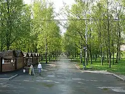 Аллея, ведущая от Екатерининской горки