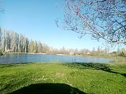 Пруд у истоков реки в с. Кринички