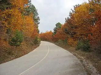 Дорога в горах Дисорон