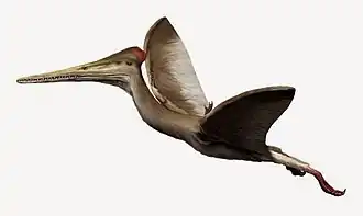 Реконструкция