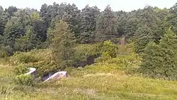 Кривянка возле села Кривое