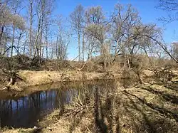 Среднее течение реки весной 2020 года