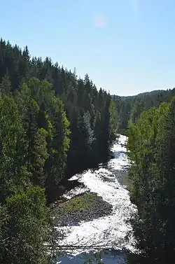 Кумса возле Медвежьегорска