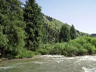 Лето в Семёновском ущелье.