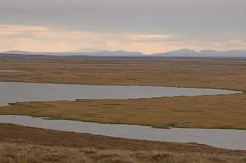 Тундры северной части полуострова