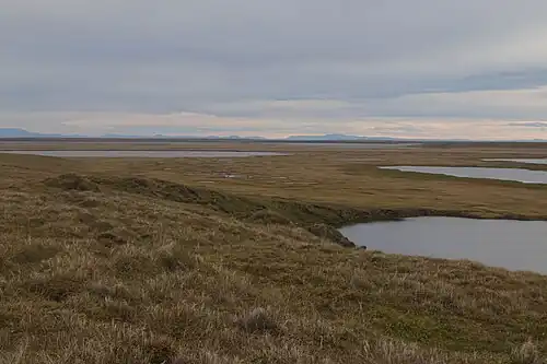 Тундры северной части полуострова