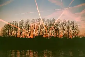 Вид на остров Дав с правого берега Мааса