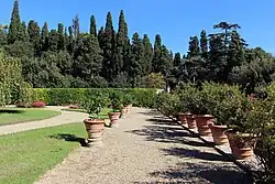 Верхняя терраса