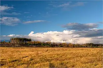 В Лаанеметса осенью