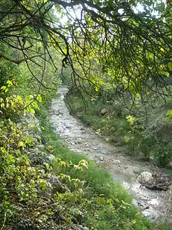 Приток Салетт Ла-Комб в Лафаре.