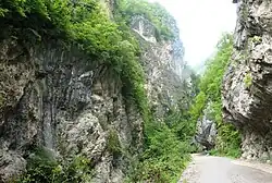 Долина реки Ладжанура в 2009 году