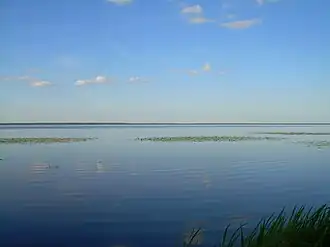 Вид на озеро с северного берега в 2009 году