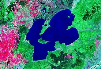 Снимок из космоса в псевдоцветах